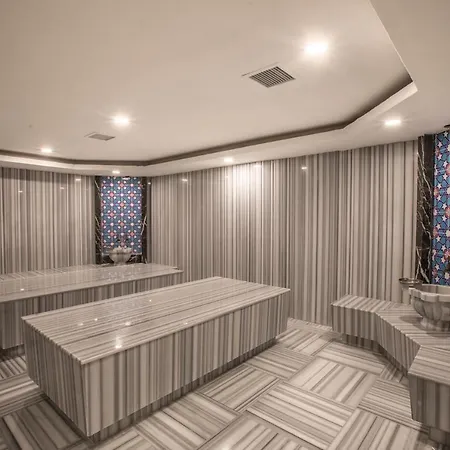 Maxeria Blue Didyma ディディム